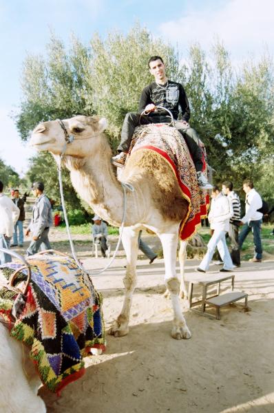 wa zwiiina had rakba dial jmal