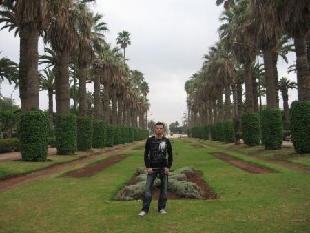 vive  casa blanca  kanmot 3lik :d